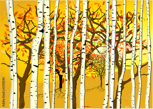 Herbst Stimmung