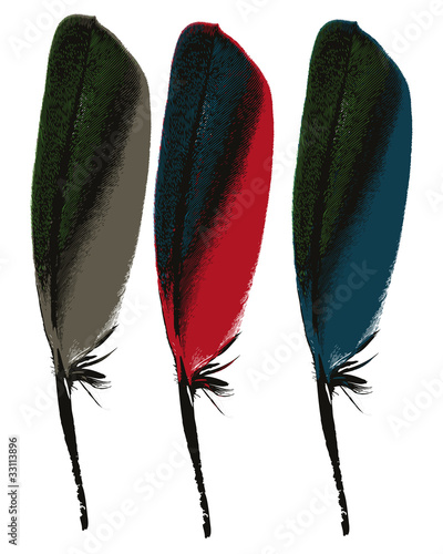 plumes