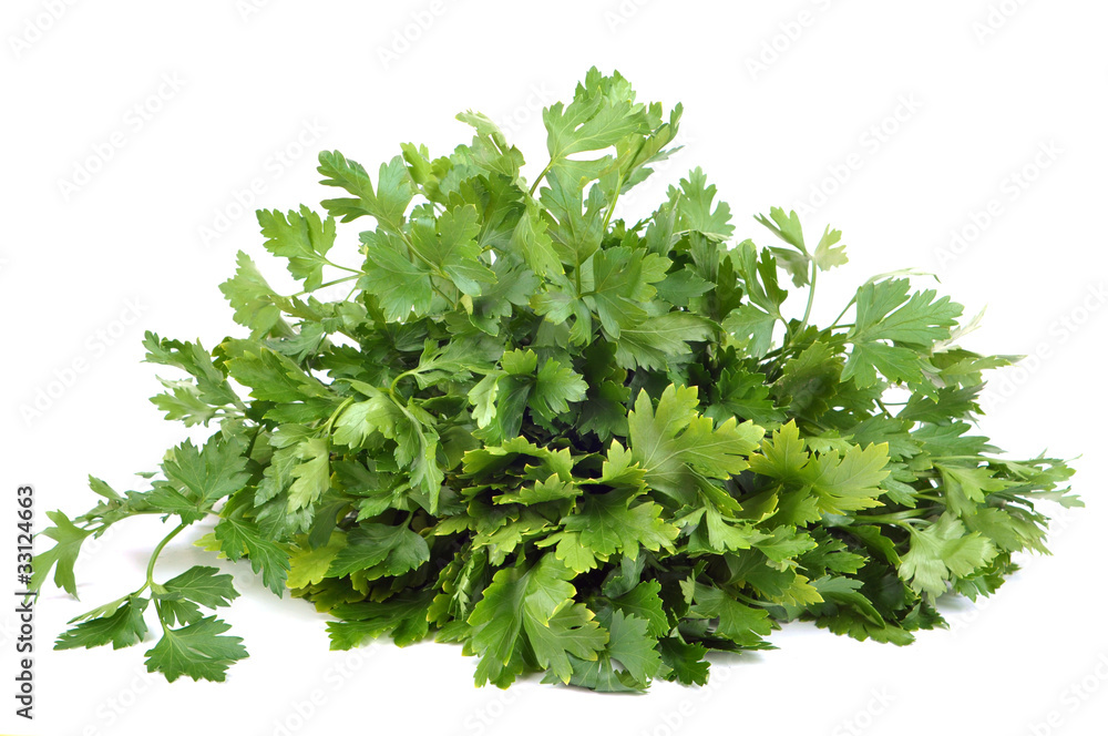 Fototapeta premium Parsley bunch isolated on a white background.