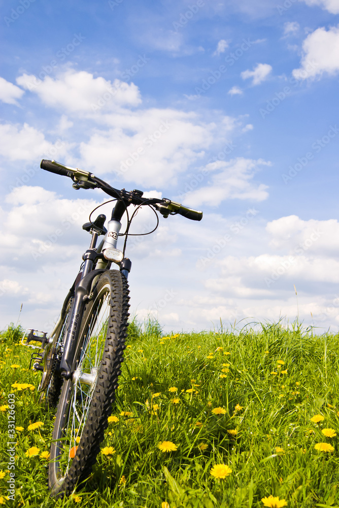 Naklejka premium bike