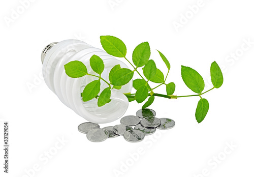Energy saving light bulb, money and plant on white