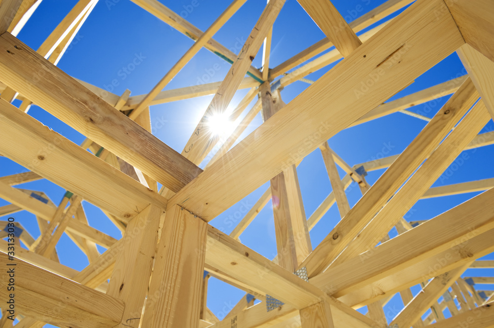 New home construction framing New home construction framing