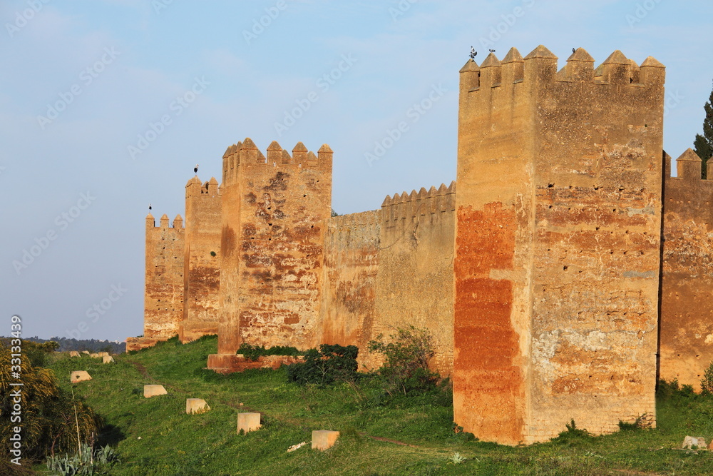 Chellah - roman buildings in Morocco, Rabat