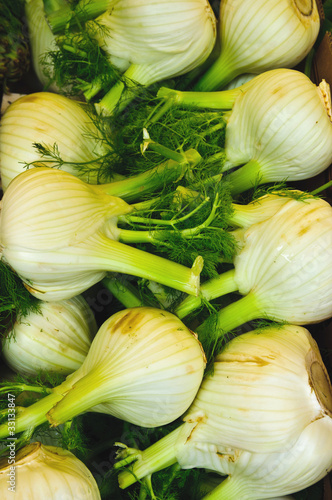 Several Fresh Fennel bulbs in the market