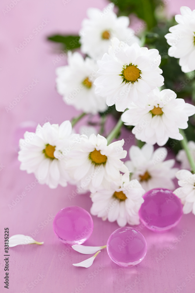 Fototapeta premium Margeritenblüten