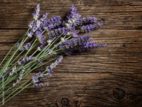 Fototapeta Naklejka Na Ścianę i Meble -  lavender flower
