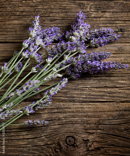Fototapeta Naklejka Na Ścianę i Meble -  lavender flower