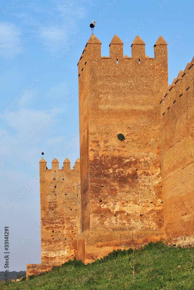Chellah -  roman buildings in Morocco, Rabat