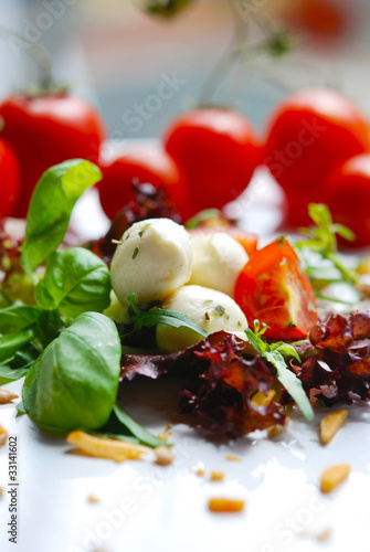 salat - tomaten - mozzarella photo