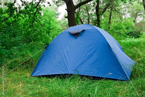 blue touristic tent in a forest