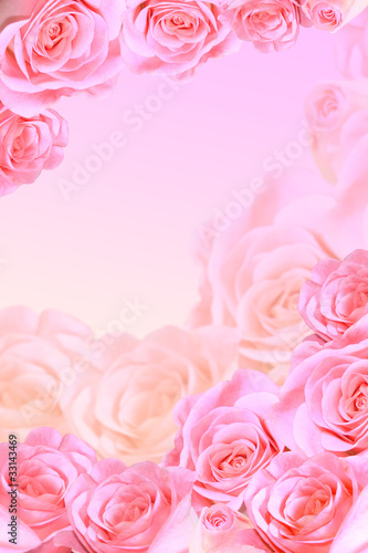 Frame of beautiful pink roses