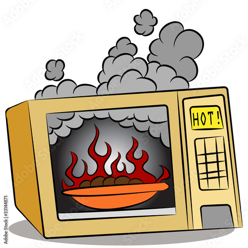Food Burning In Microwave Oven