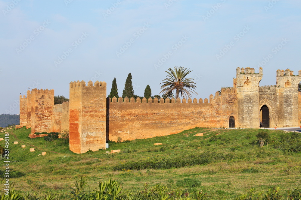 Chellah - ruins of roman buildings in Morocco, Rabat