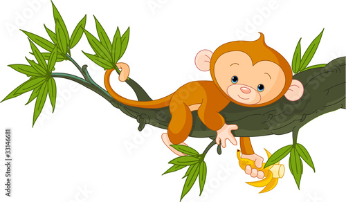 Baby monkey on a tree
