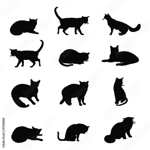 cat silhouette collection