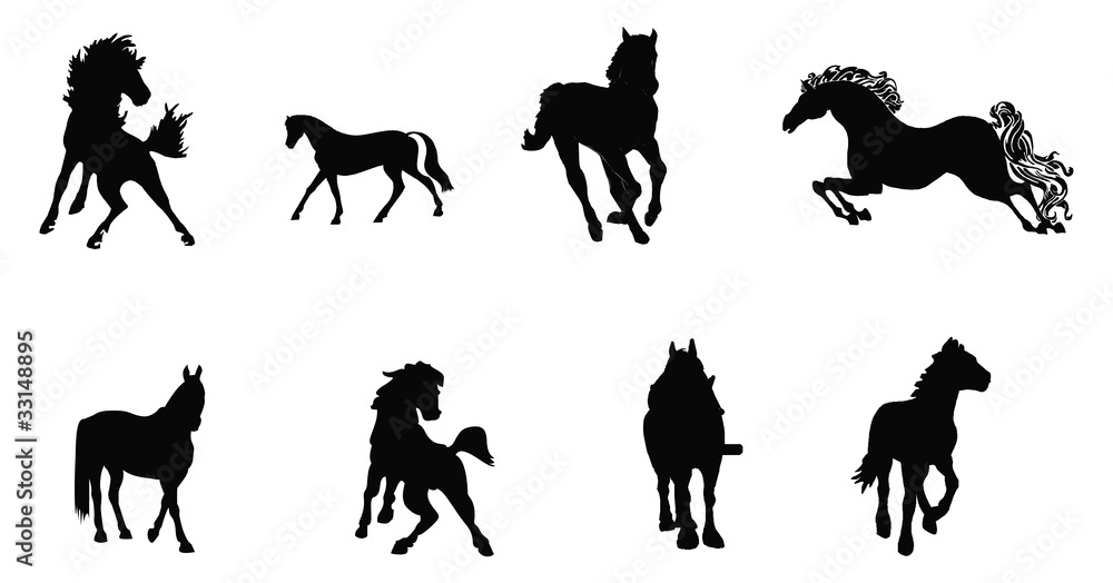 Fototapeta premium horse silhouette collection