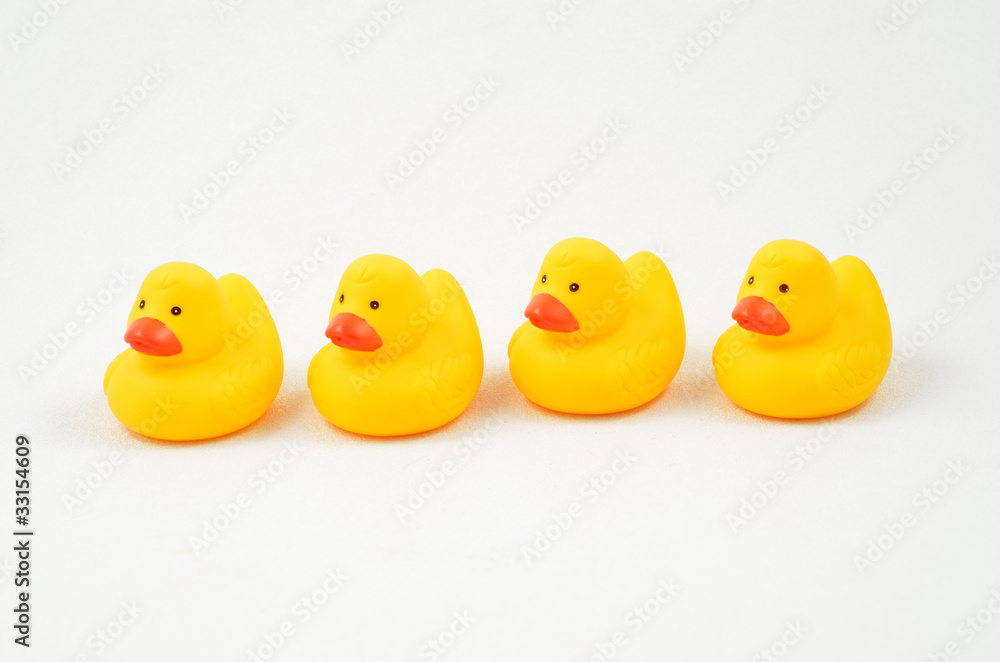 Rubber Duckies in a Row Rubber Duckies in a Row
