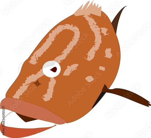 Mérou vu de trois-quarts