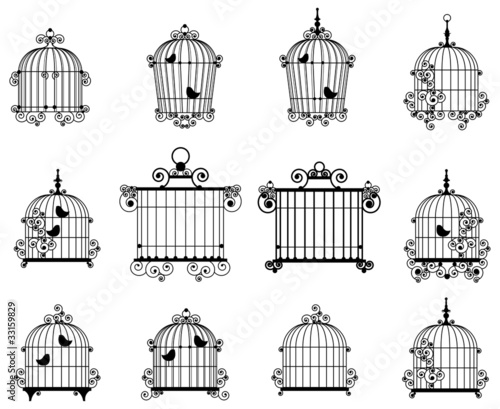 bird cage