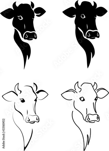 Cow.