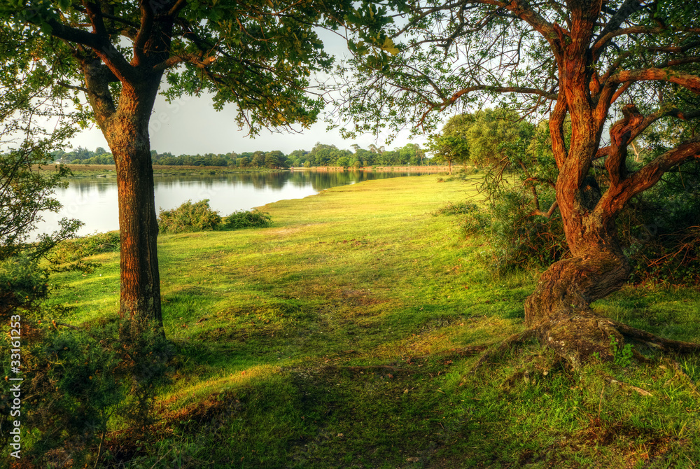 Fototapeta premium Magical fantasy style forest scene with lake during sunset