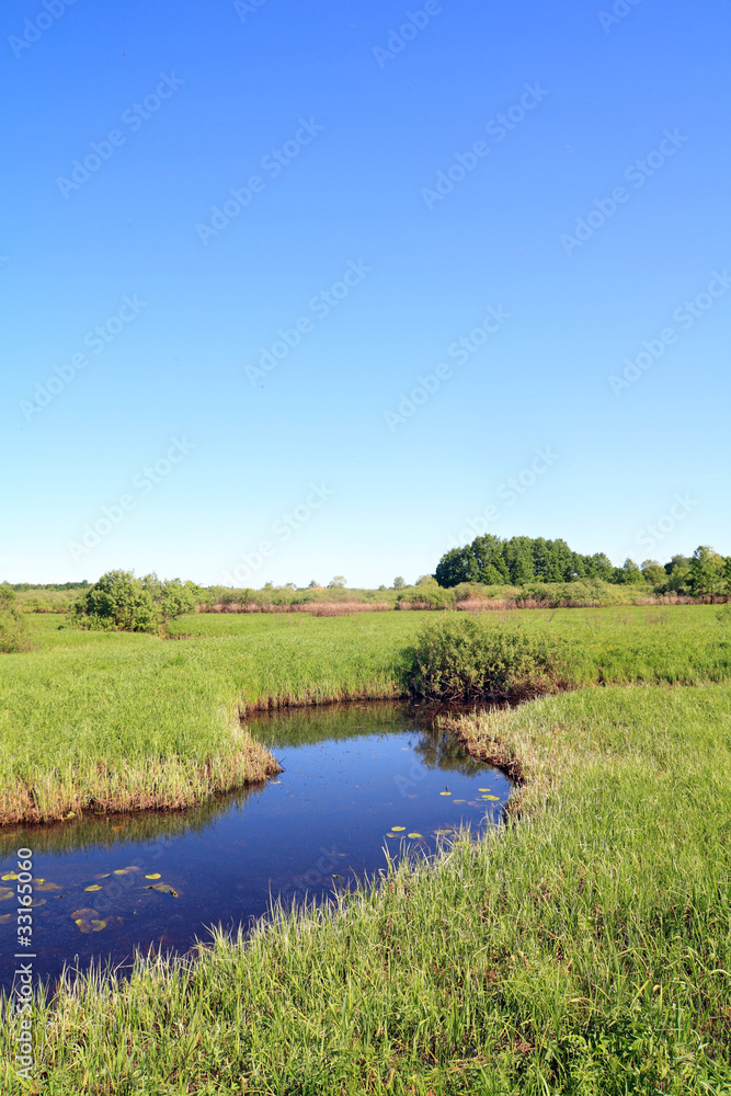 small river on green field small river on green field