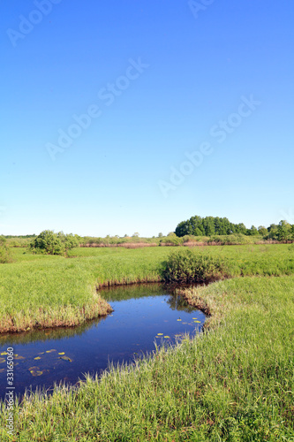 small river on green field