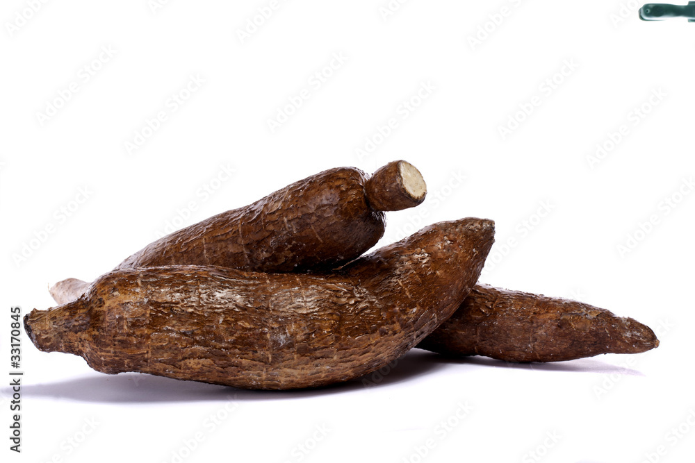 cassava root