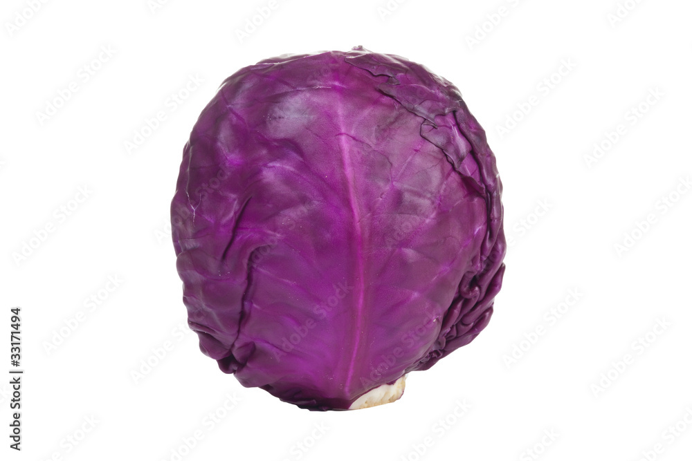 Red cabbage Red cabbage