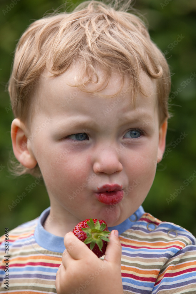 kleiner Junge nascht eine Erdbeere kleiner Junge nascht eine Erdbeere