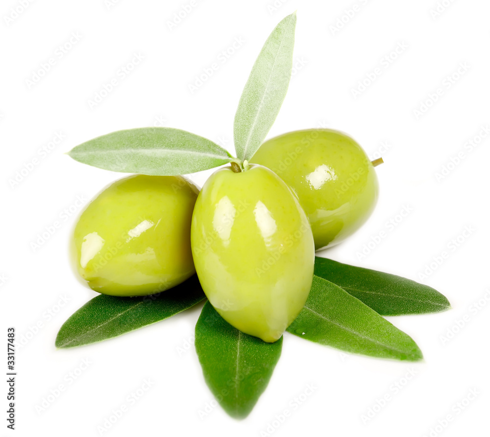 Obraz premium Olive Verdi giganti