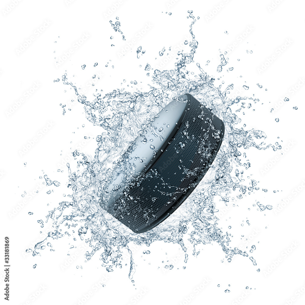 Obraz premium Hockey Puck