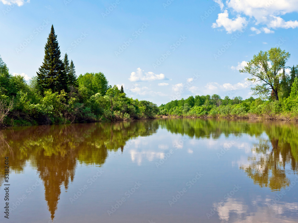 Summer Landscape