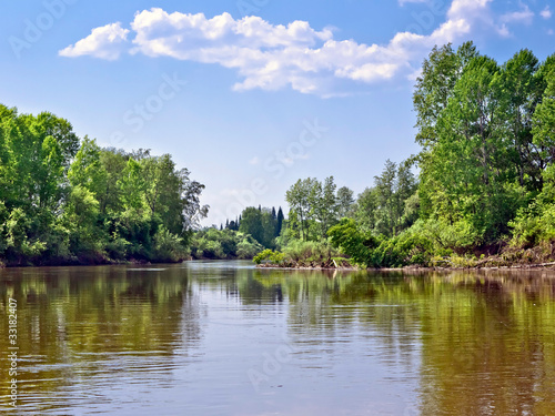 Summer Landscape