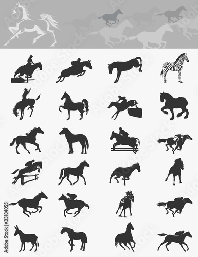 Collection of horses4