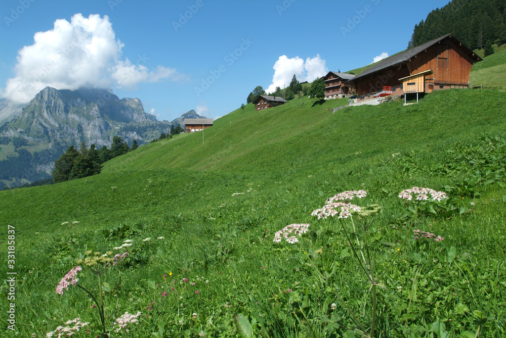 fattorie nelle alpi svizzere