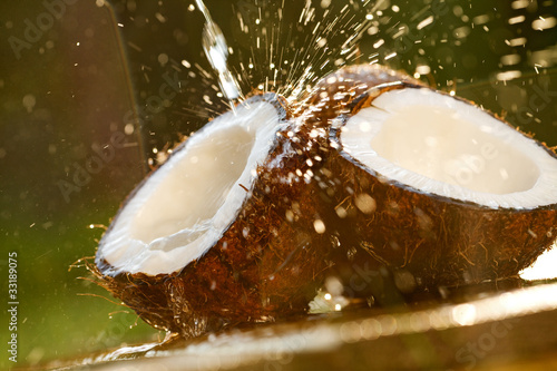 coconut photo