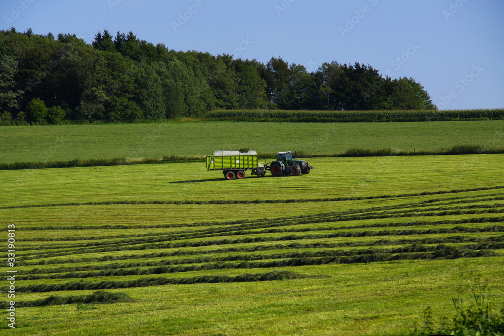 Obraz premium Heuernte