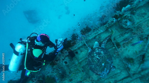 Diver and The hawksbill turtle on ship wreck, Maldives
