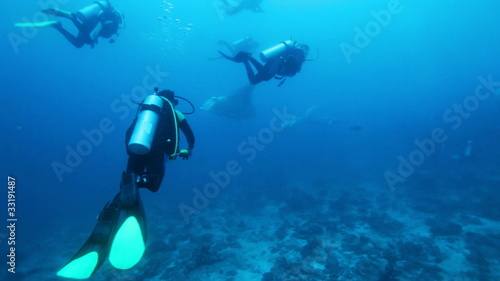 Wallpaper Mural Divers meet mantas on Ari-Atoll manta point, Maldives Torontodigital.ca