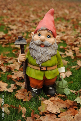 Gnome and Autumn leaves