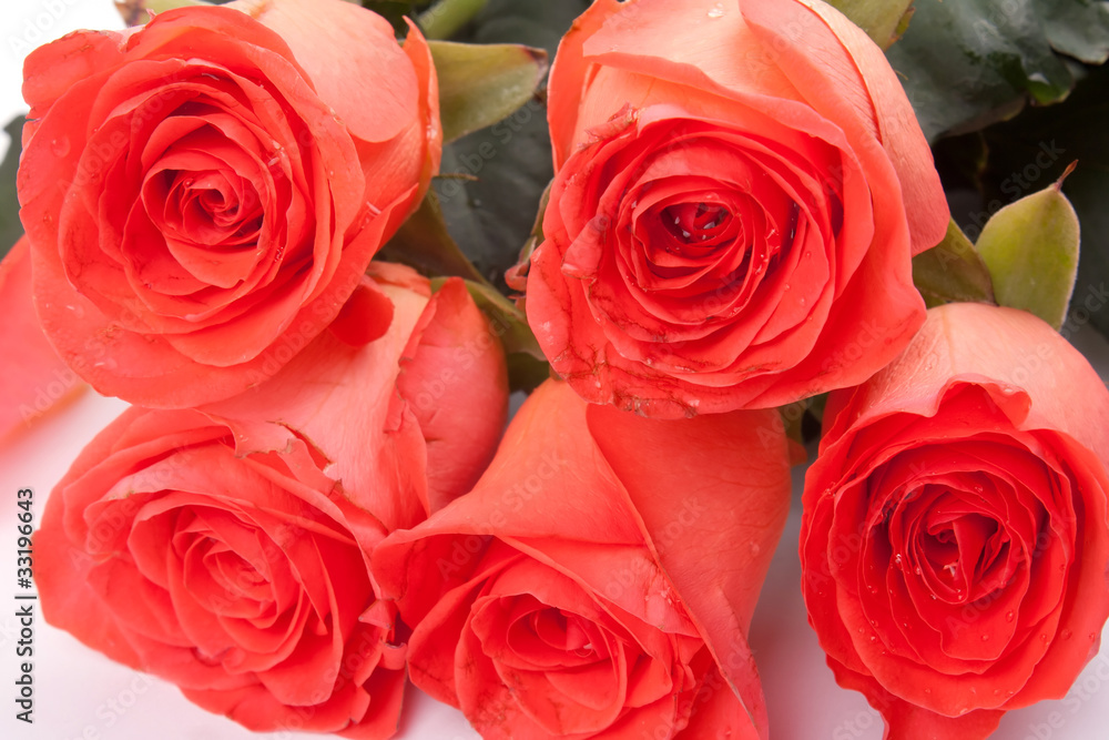 Bouquet of red roses