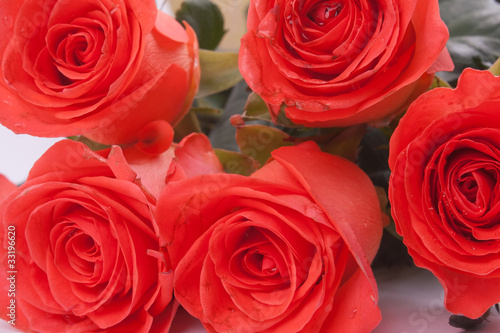 Bouquet of red roses