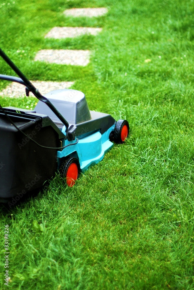 Fototapeta premium grünes Gras mähen