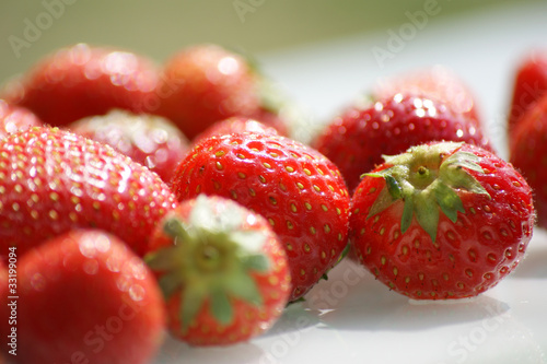 Erdbeere