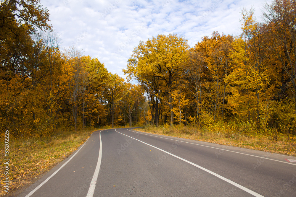 curving autumn road in forest curving autumn road in forest