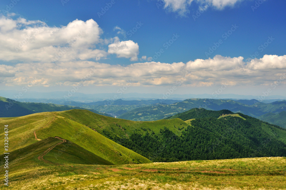 Moutain path through meadows