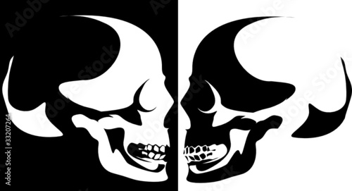 Series. Vector image of a human skull
