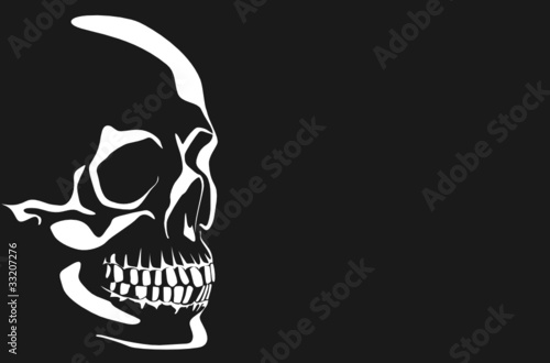 Series. Vector image of a human skull