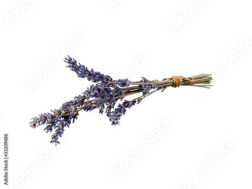Fototapeta Naklejka Na Ścianę i Meble -  lavender flower